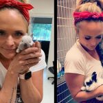 miranda lambert's rabbits