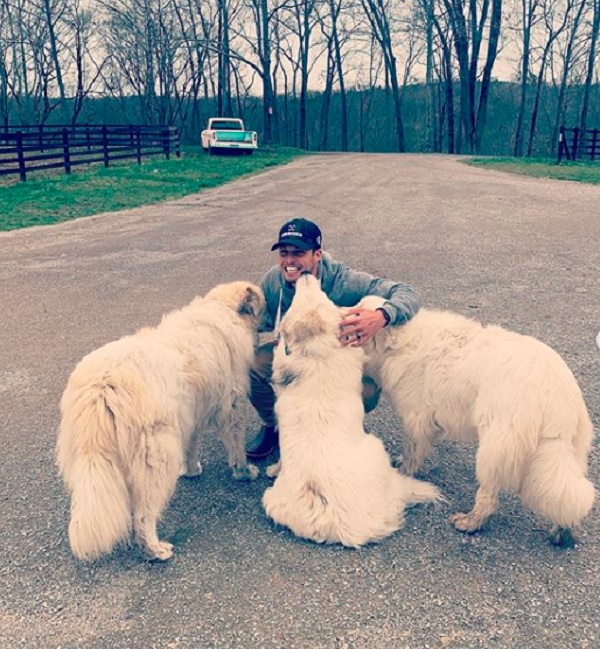 Brendan McLoughlin with Dogs