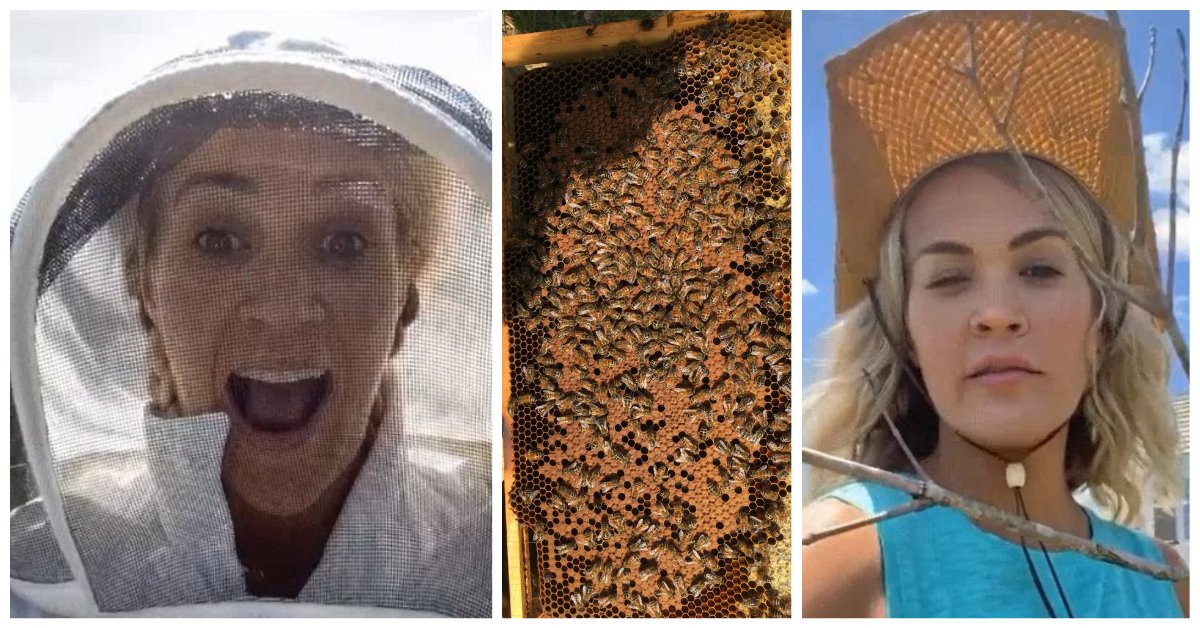 Carrie Underwood Beekeeper